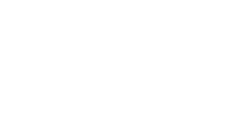 Lone Travelers